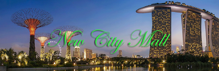 The New City Mall ... fast and convenient Secure Online Shopping . . . 